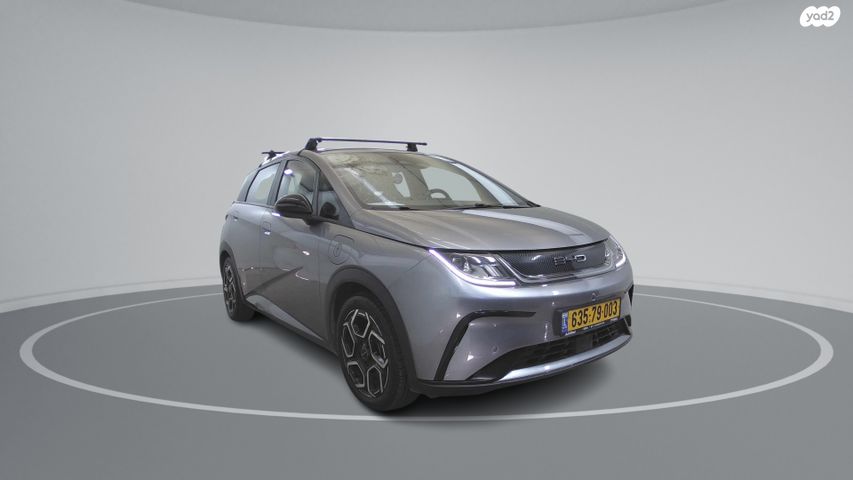 בי.ווי.די דולפין