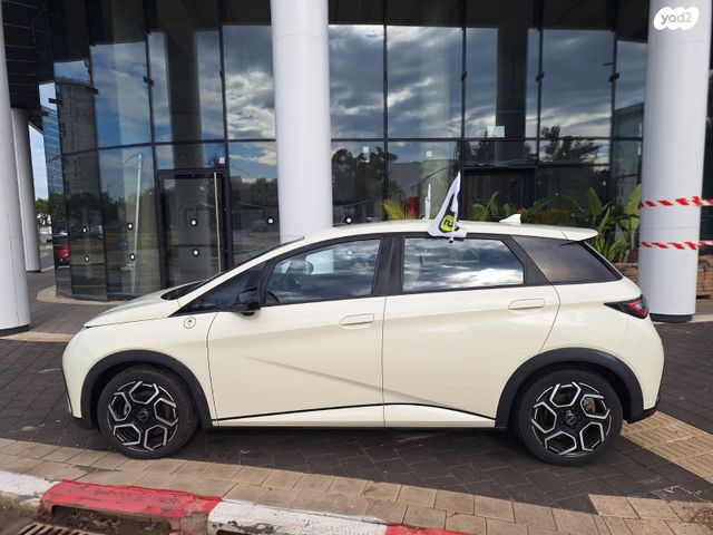 בי.ווי.די דולפין