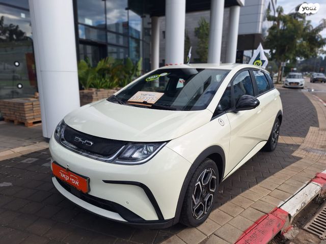 בי.ווי.די דולפין