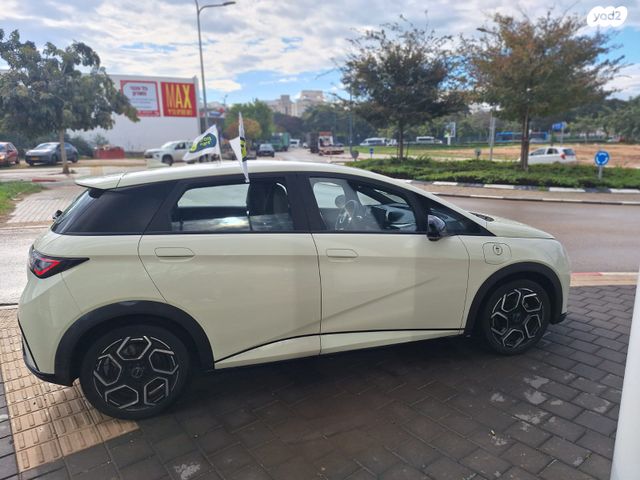 בי.ווי.די דולפין