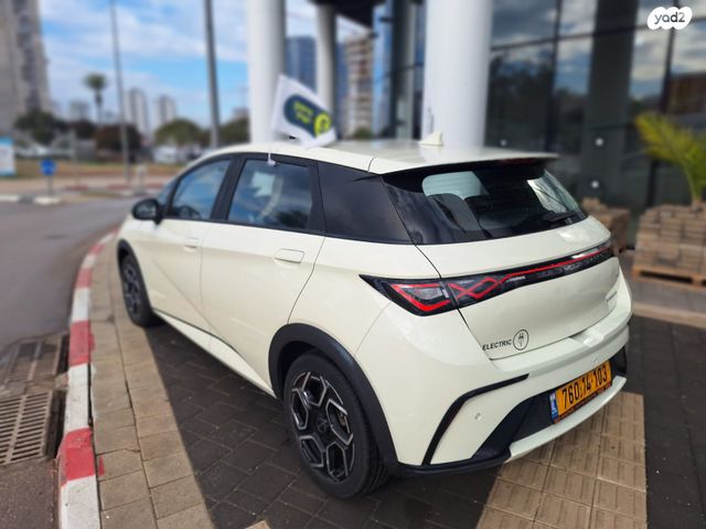 בי.ווי.די דולפין