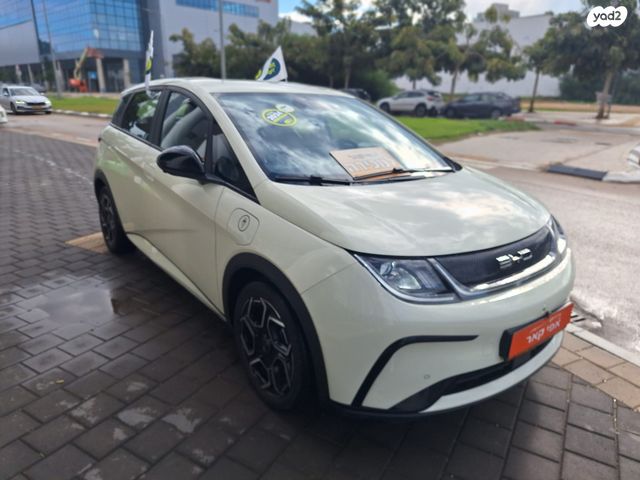 בי.ווי.די דולפין