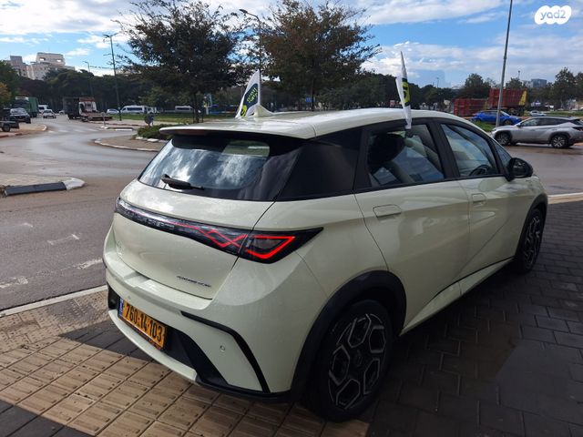 בי.ווי.די דולפין