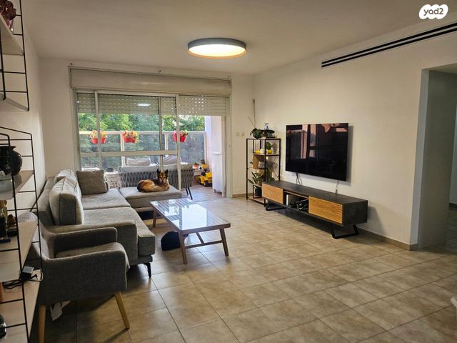 אסא קדמוני 2