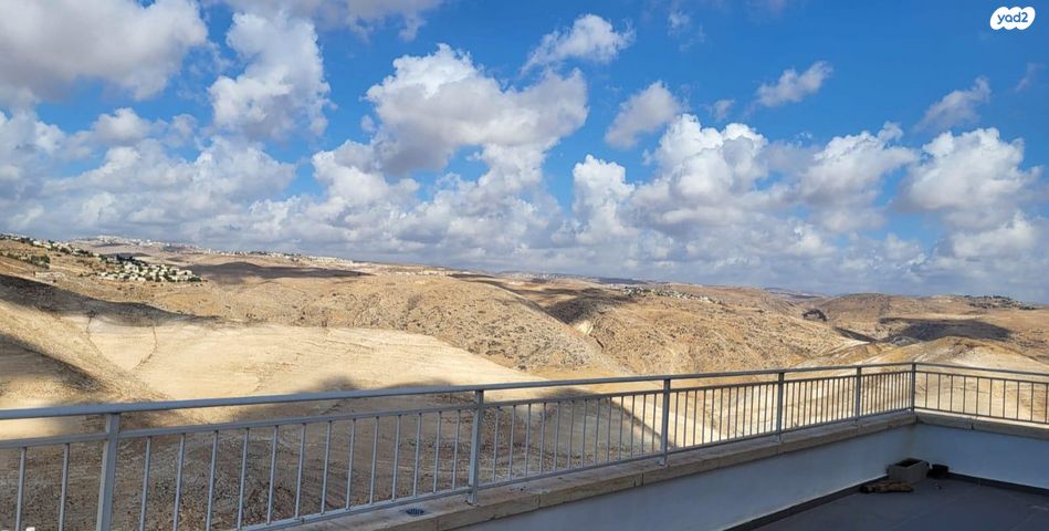 נחל ערוגות 31