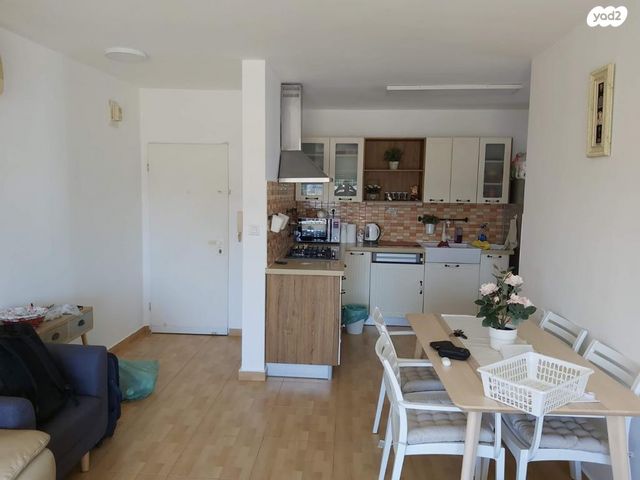 חללי אגוז 19