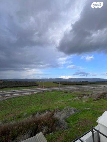 פרדה יזדאו אקלום 39