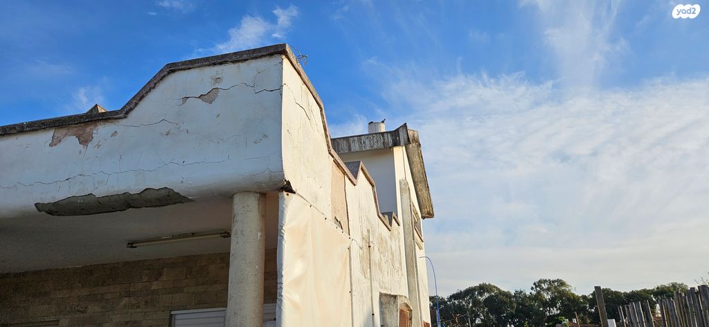 שבטי ישראל 104