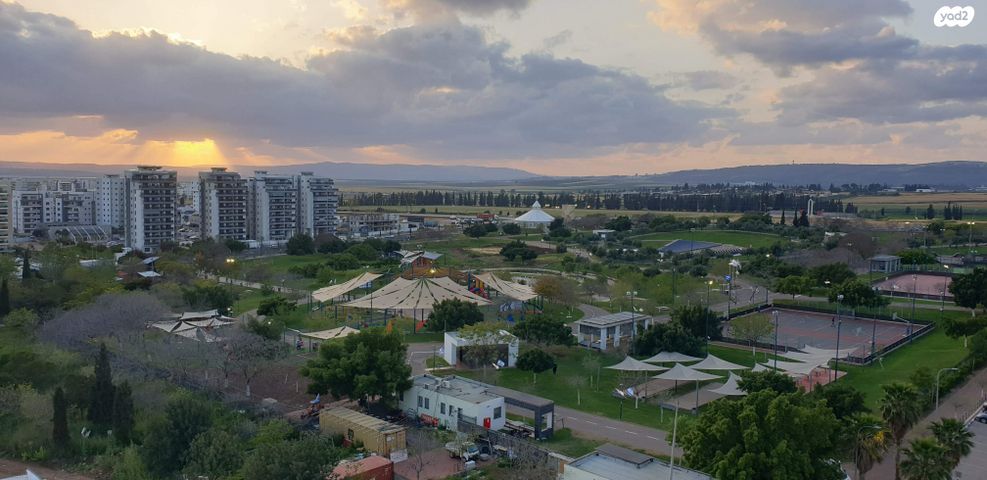 חטיבת כפיר 19