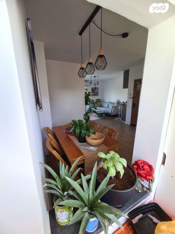 דירה, הורדים 29, שאר העיר, קדימה צורן