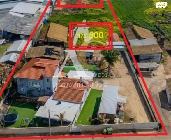 דרך אלי ביטון 101