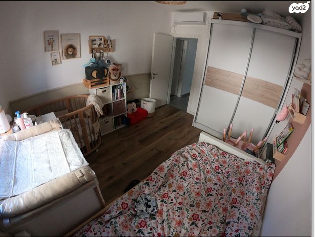 עץ המשאלות 5