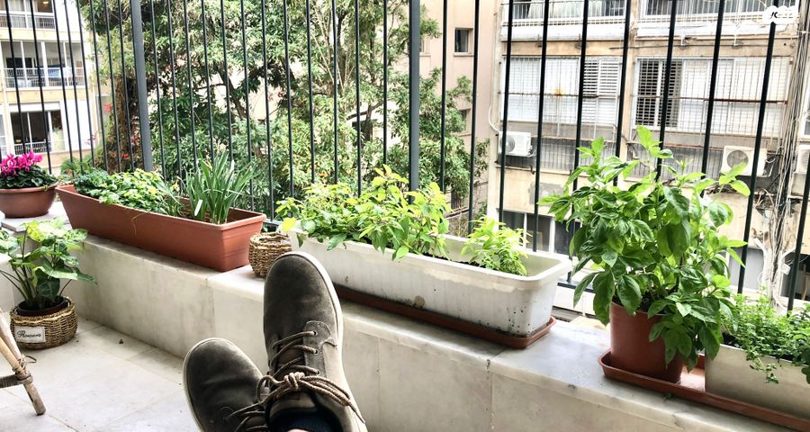 איתמר בן אב"י 5