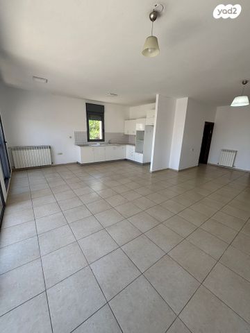 זכריהו אוריאלי 2