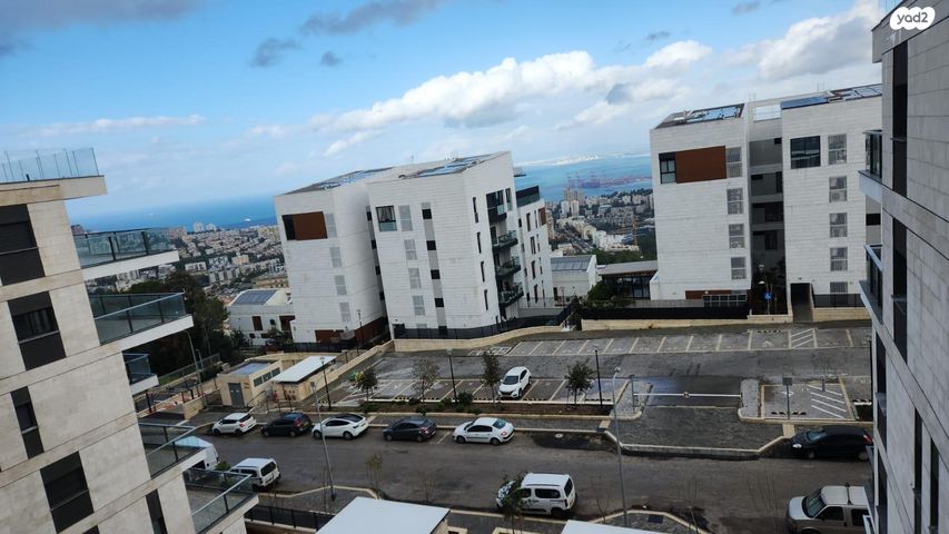 עמירם חרלף 3