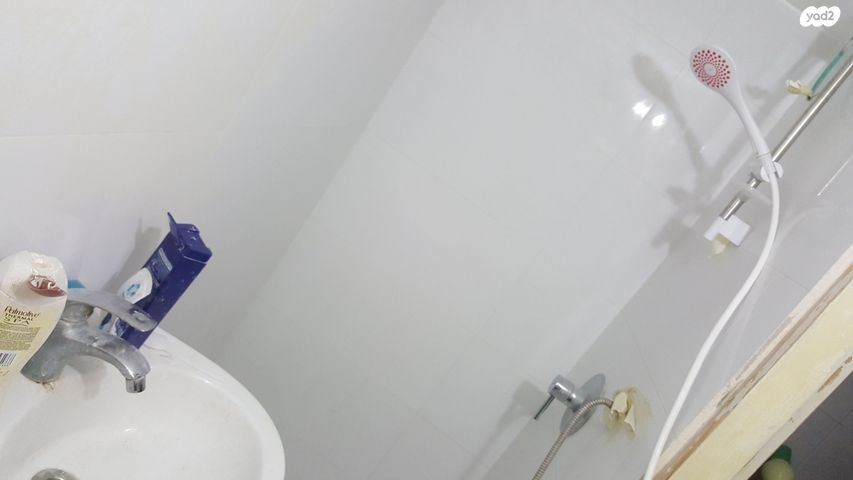 זאב אורלוב 74