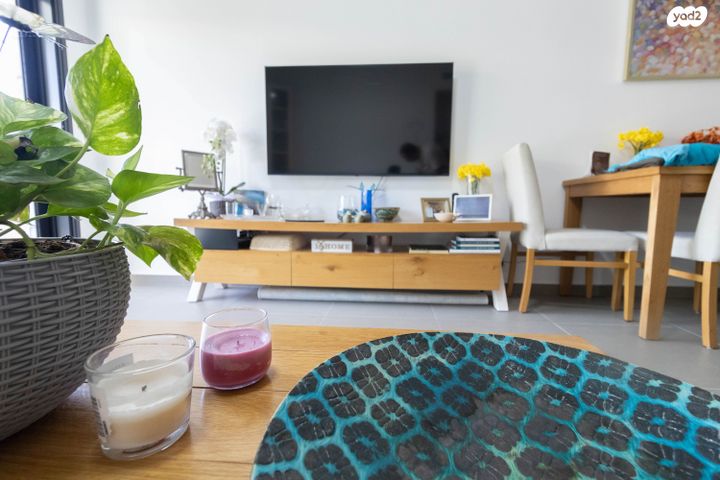 רועי קליין 8