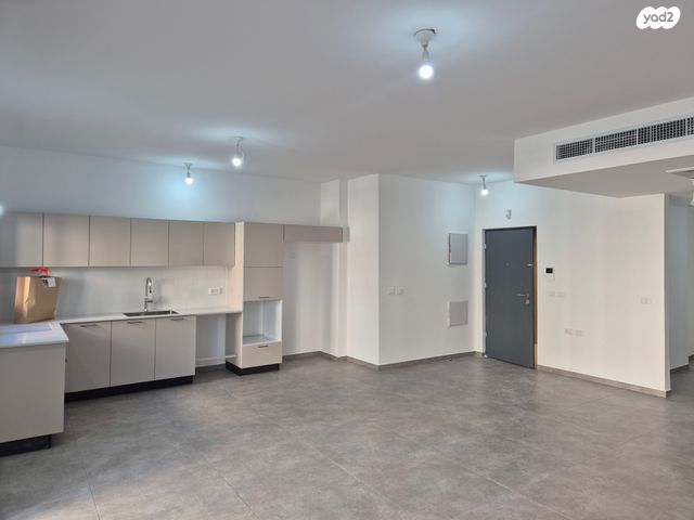 החשמונאים 31