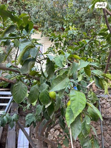 דירת גן, ישראל זנגוויל 26, קרית היובל, ירושלים