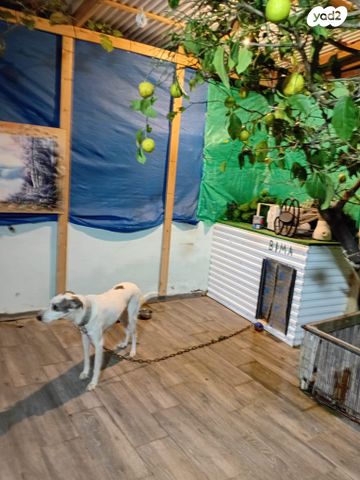 דירת גן, וייצמן 25, עמידר, בת ים