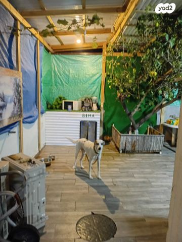 דירת גן, וייצמן 25, עמידר, בת ים