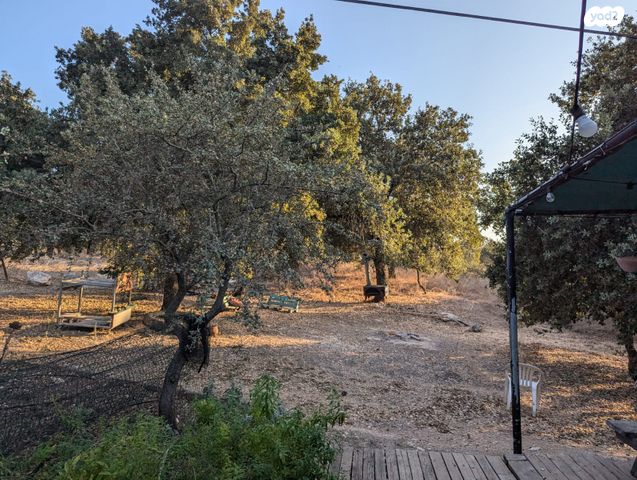 סאבלט, החקלאים 7, אלון הגליל, אלון הגליל