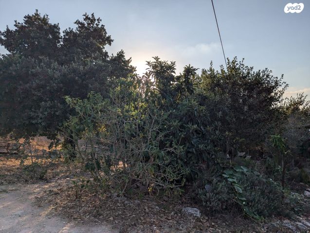 סאבלט, החקלאים 7, אלון הגליל, אלון הגליל