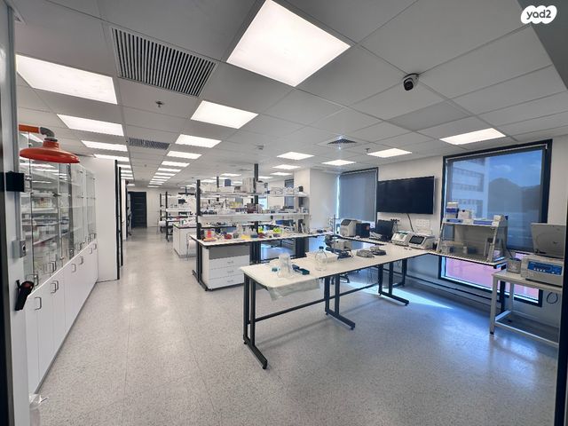 פרופ' הלל וחנן אופנהיימר 4