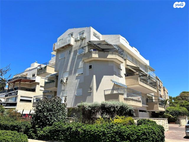 משה בילינסון 