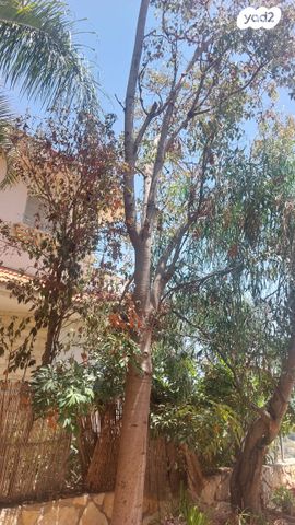 בית פרטי/ קוטג'