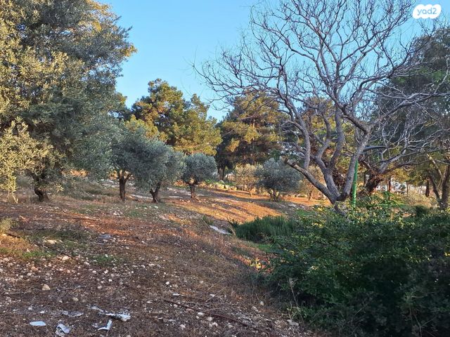 בית פרטי/ קוטג'