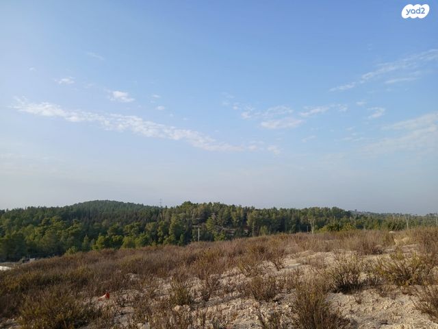 רב חלקיה בר טובי 