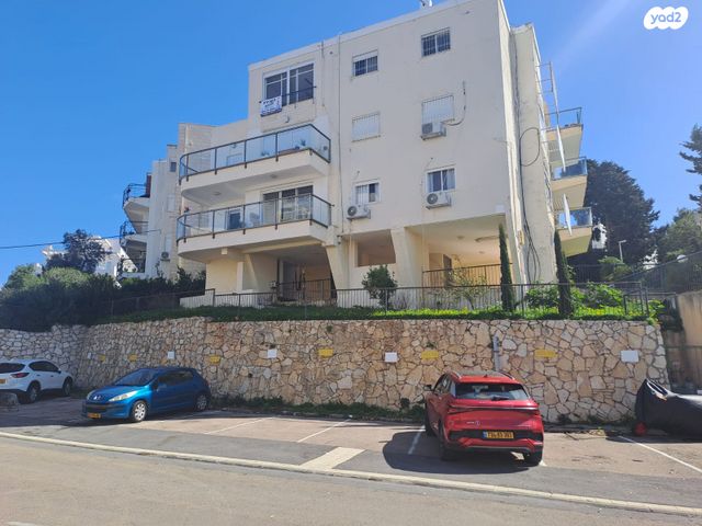 שלומציון המלכה 