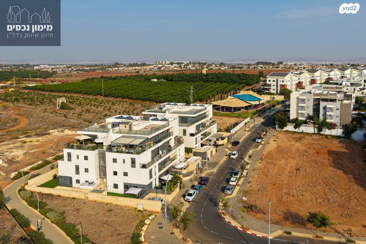 דירה, פרדסיה