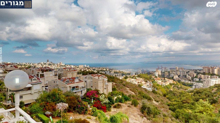 דירה, יקינטון, אחוזה, חיפה