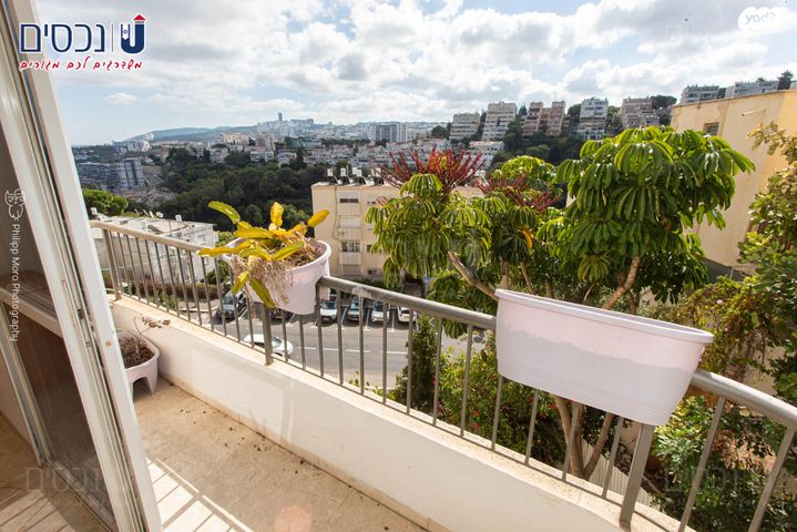 דירה, האסיף, כרמל מרכזי - שד' קיש, חיפה