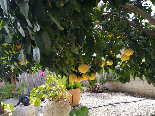 בית פרטי/ קוטג', חרמש