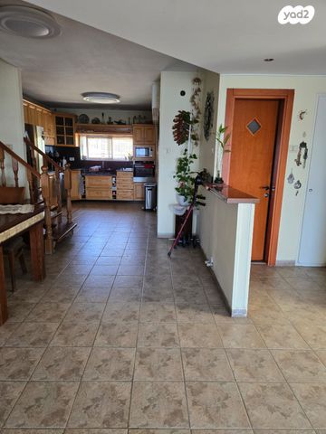 שמואל תמיר כצנלסון 