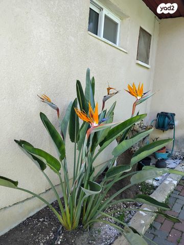 בית פרטי/ קוטג', חרמש