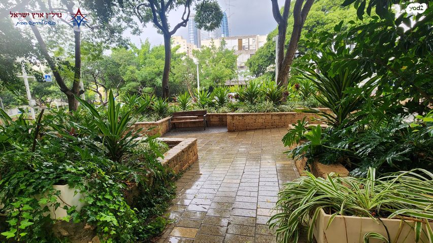 דירה, בורוכוב, בורוכוב, גבעתיים