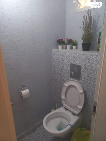 דירת גן, הצבעונים, קצרין