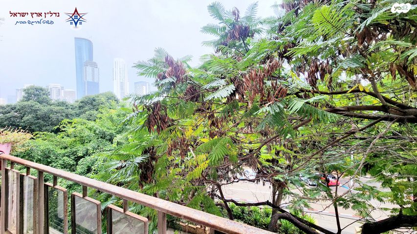 דירה, בורוכוב, בורוכוב, גבעתיים