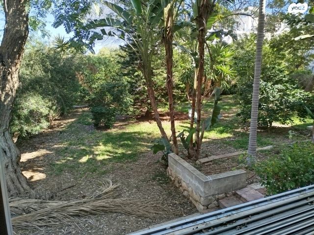 דירה, ההסתדרות 10, רמת בן צבי, נס ציונה