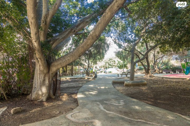 דירה, חברה חדשה, הצפון החדש - כיכר המדינה, תל אביב יפו