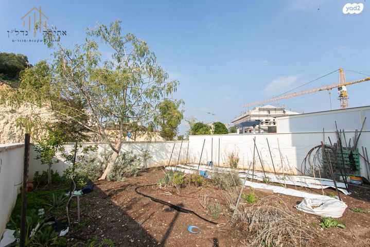 דירת גן, הדודאים, גבעת זמר, חיפה