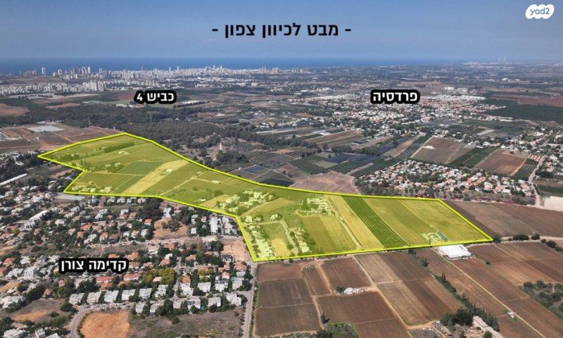 סופיה וסרמן 