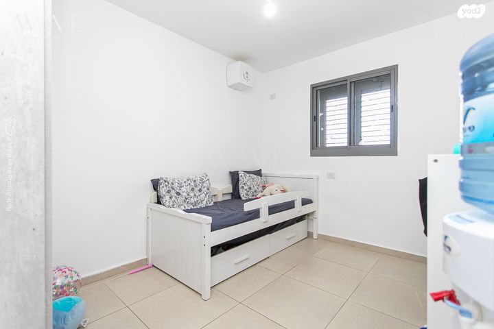 דירה, הגל, החותרים, טירת כרמל