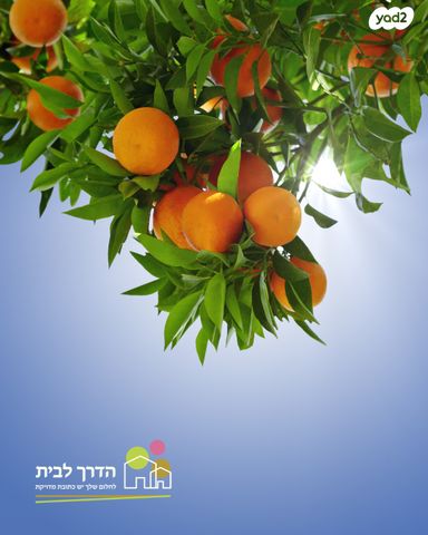 דו משפחתי, ההדרים, בנימינה גבעת עדה