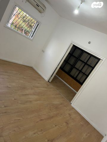 דוד וולפסון 46