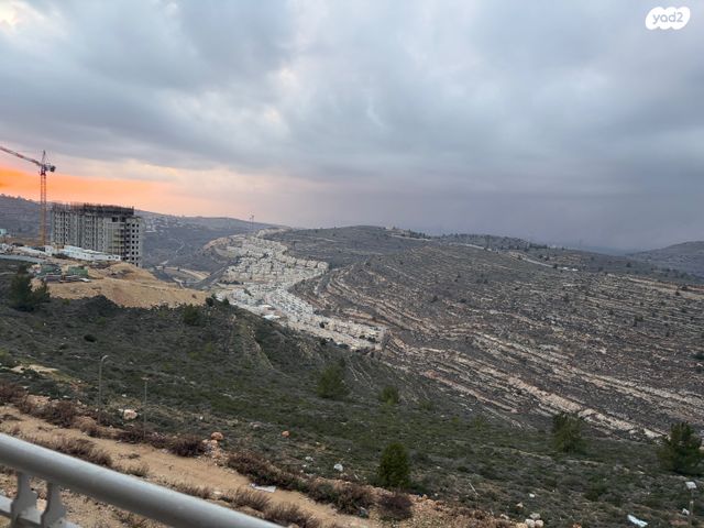 דירת גן, פרחי בר, שאר העיר, גבעת זאב